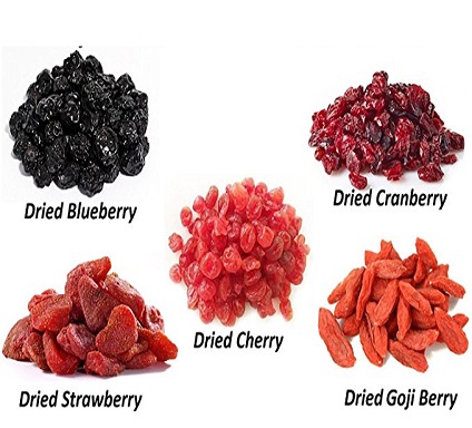 Imported dry hot sale fruits